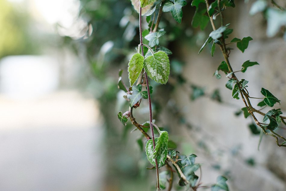 natural photographers glasgow 1-2.jpg
