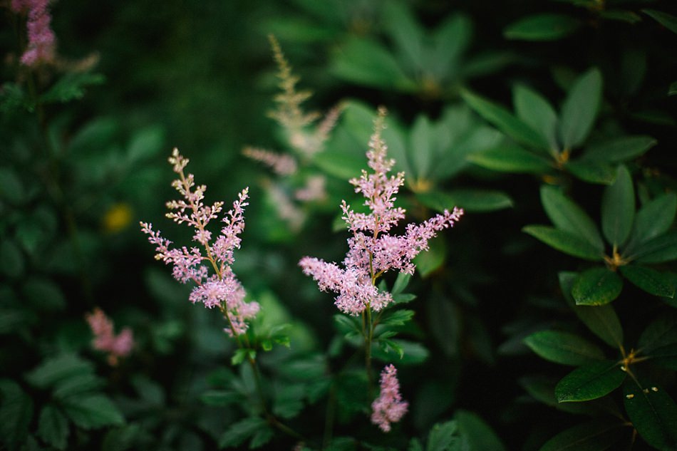 natural photographers glasgow 5-3.jpg