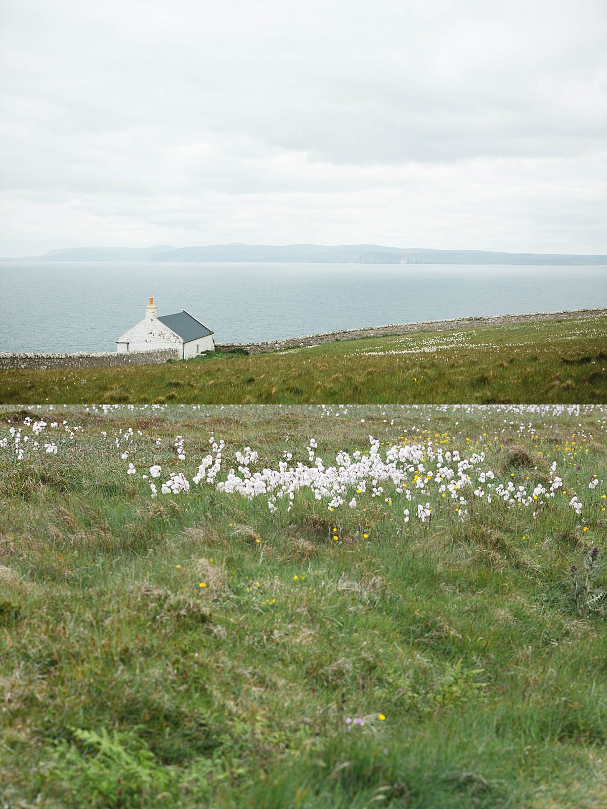 Britain,Caithness,Dunnetthead,Scotland,The Gibsons,