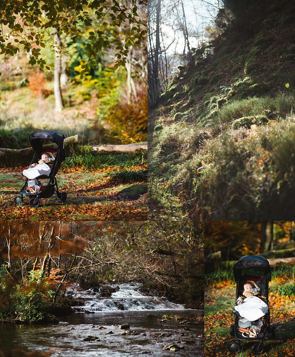 Family photographers Glasgow,The Gibsons,