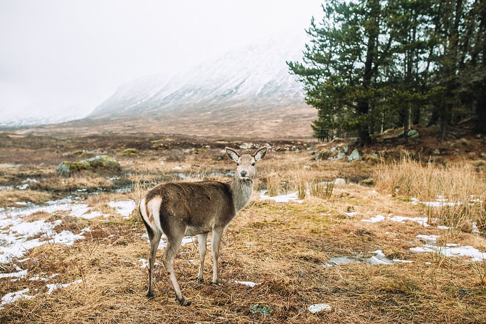 Boho Wedding,Fine Art Wedding Photographers,Floral Menagerie,Glasgow Bride,Glencoe,elopement glencoe,elopement scotland,romantic wedding photographers scotland,unbridaled, Boho Wedding,Fine Art Wedding Photographers,Floral Menagerie,Glasgow Bride,Glencoe,elopement glencoe,elopement scotland,romantic wedding photographers scotland,unbridaled,