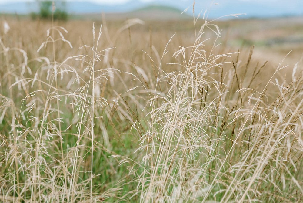 Engagement shoot Scotland 0192.jpg