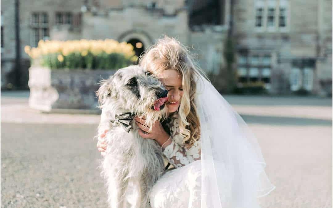 Romantic Glenapp Elopement